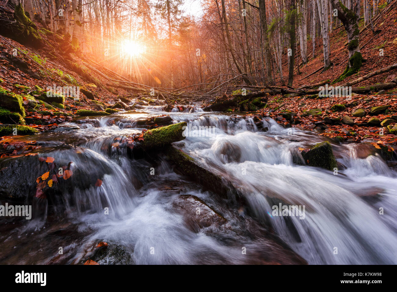 Beauty waterfall in autumn forest on sunset time. Carpathian mountains Stock Photo