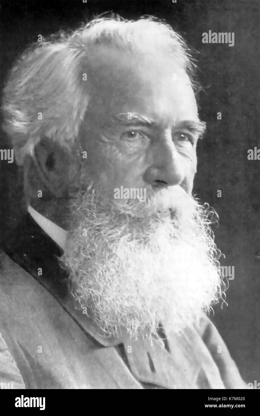 ERNST HAECKEL (1834-1919) German biologist, physician,naturalist Stock Photo