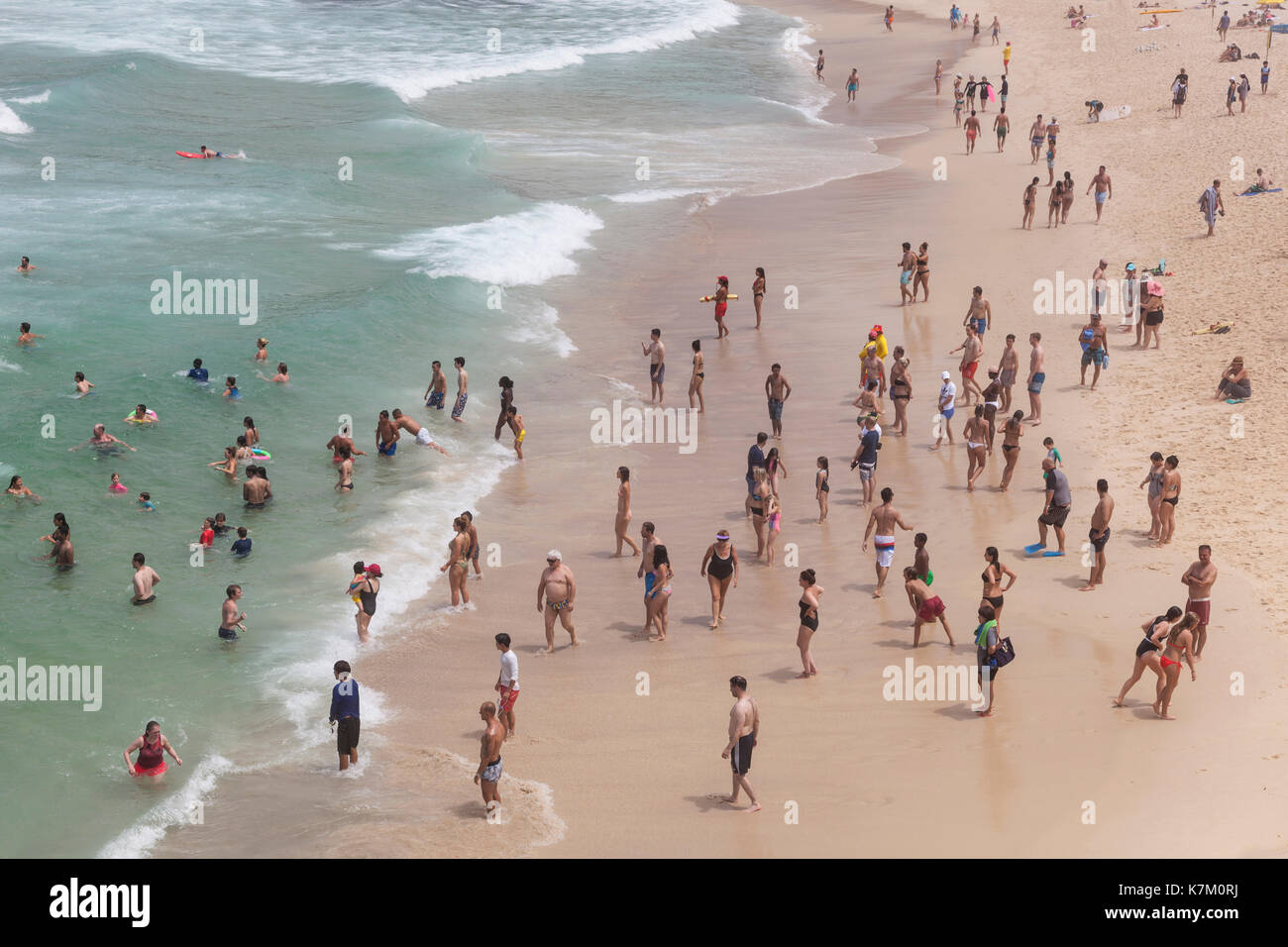 aerial view of people swimming in the sea, Sydney, Australia Stock Photo