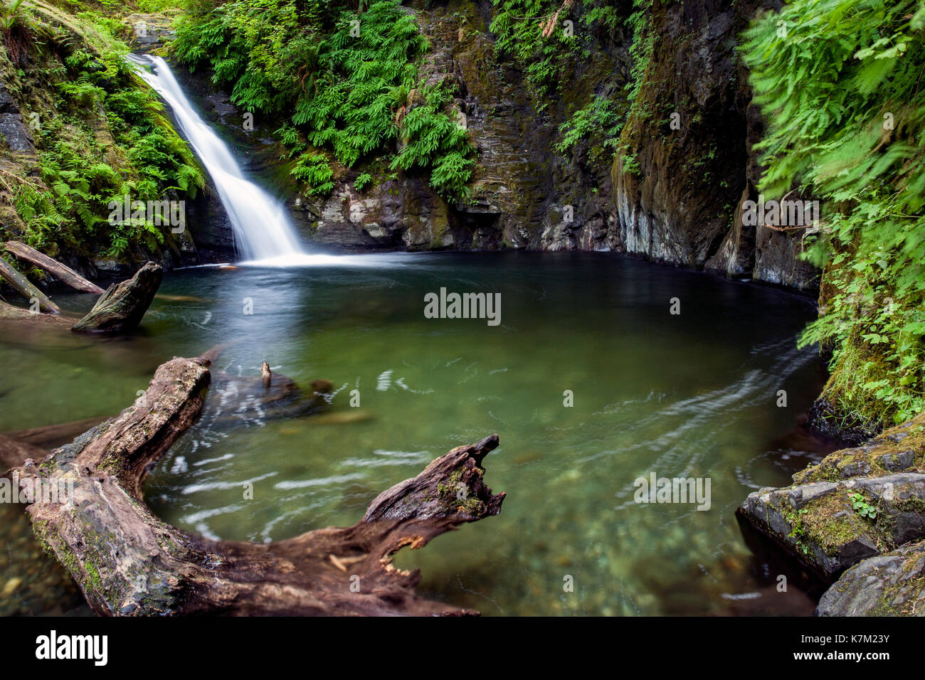Goldstream Falls - Goldstream Provincial Park; Victoria, Vancouver Island; British Columbia, Canada Stock Photo