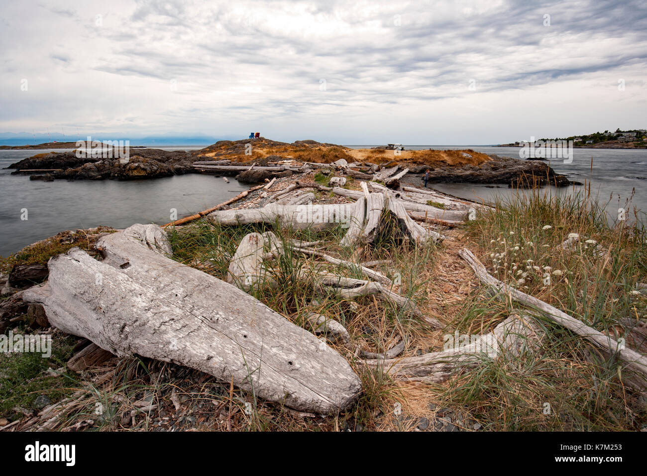 Coastal Landscape in Oak Bay, Victoria, Vancouver Island, British Columbia, Canada Stock Photo