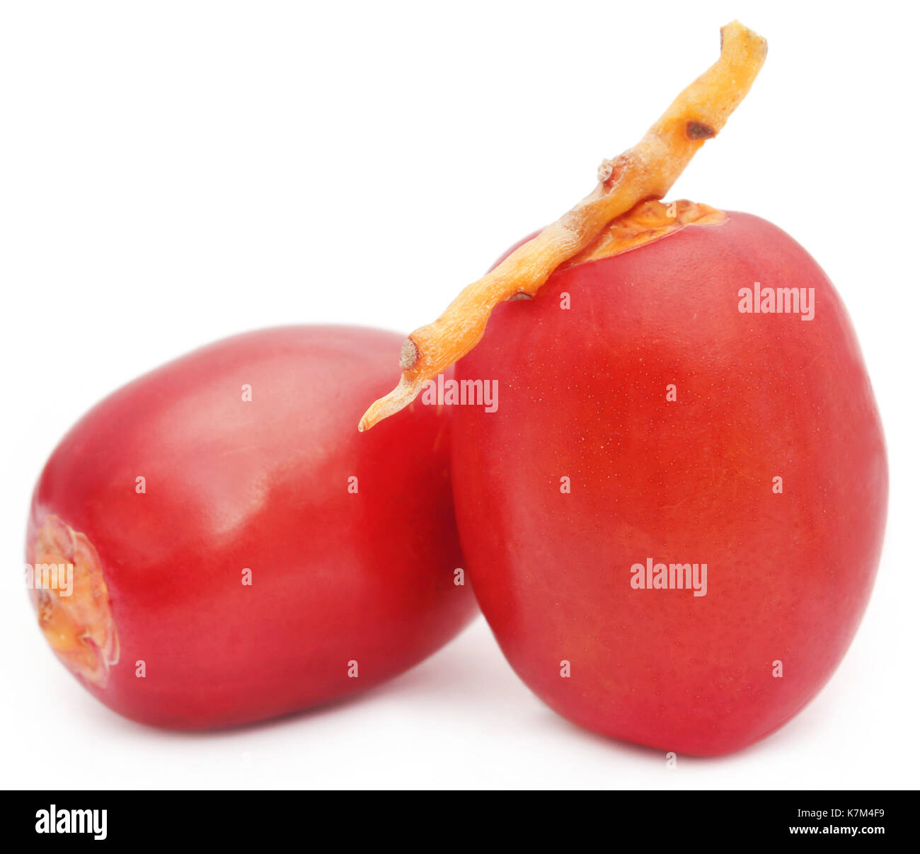 Fresh Arabian Dates over white background Stock Photo - Alamy