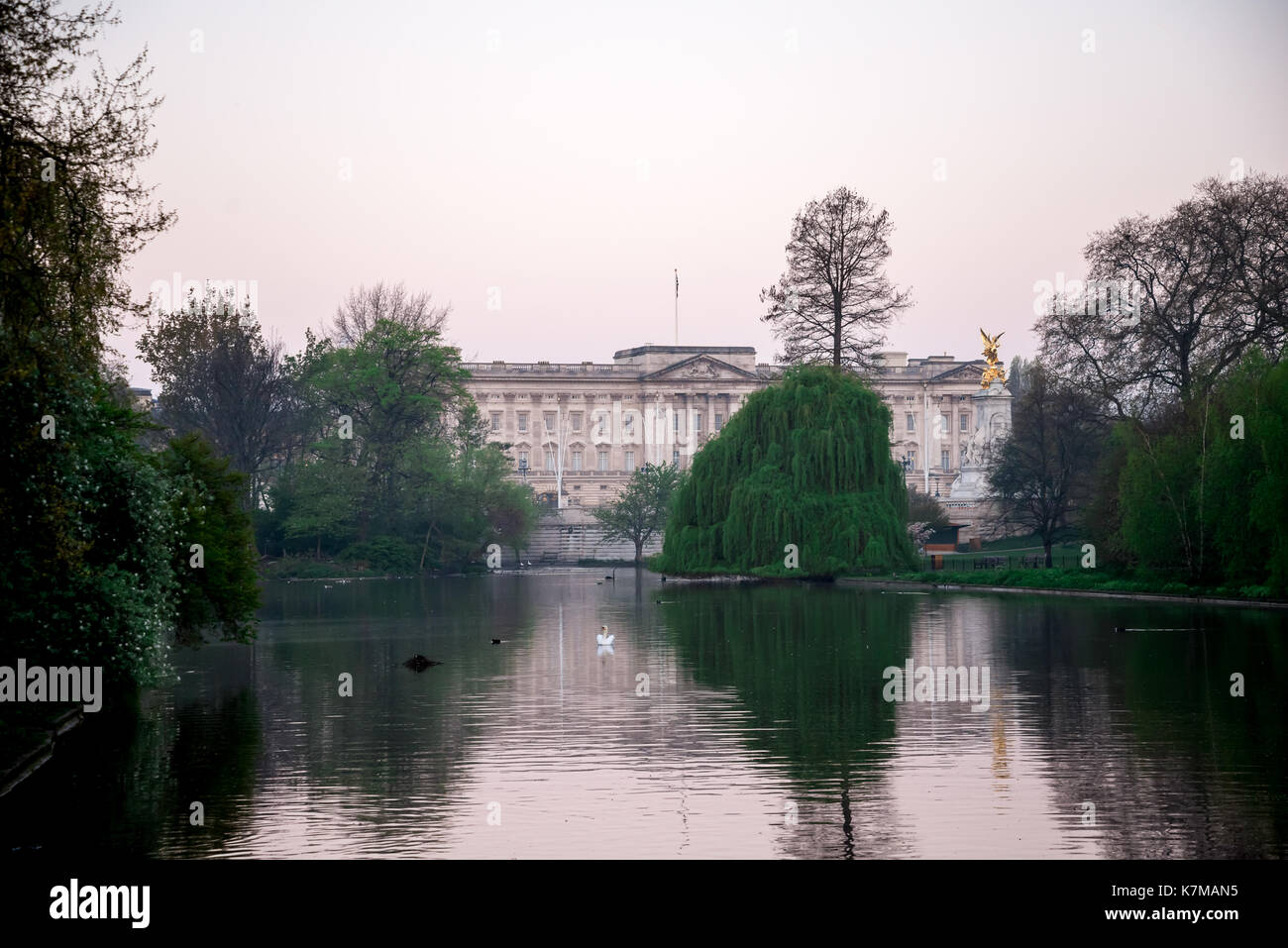 A view of Buckingham Palace and Queen Victoria memorial from St James's Park Lake in the early morning, London, England Stock Photo