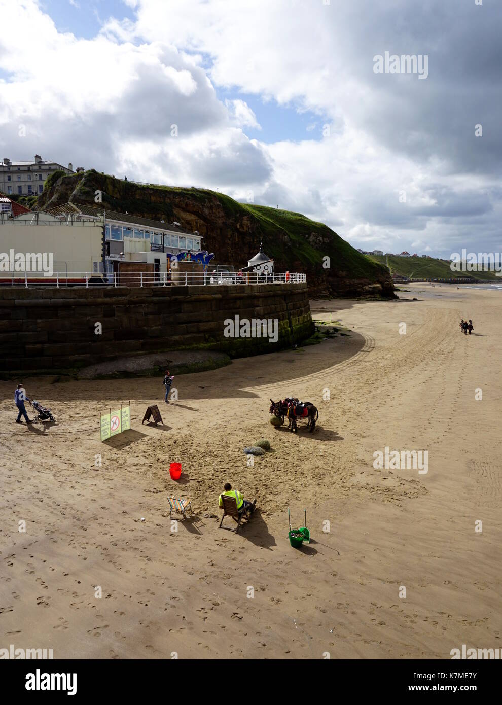 Donkey rides add to a great day at the seaside. Stock Photo