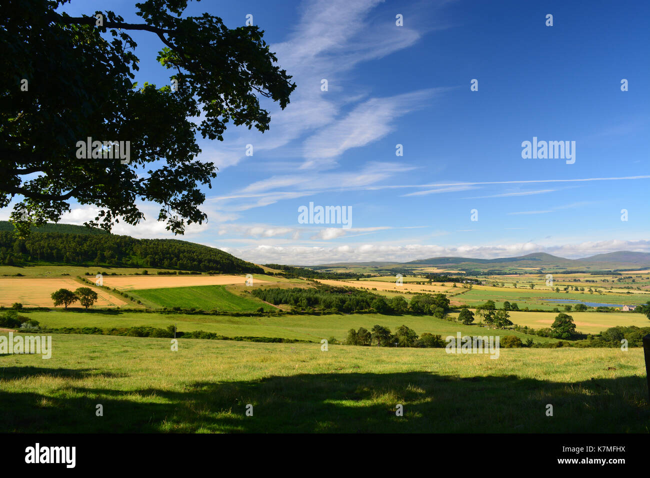 Till Valley from Chatton Hill, Northumberland Stock Photo Alamy