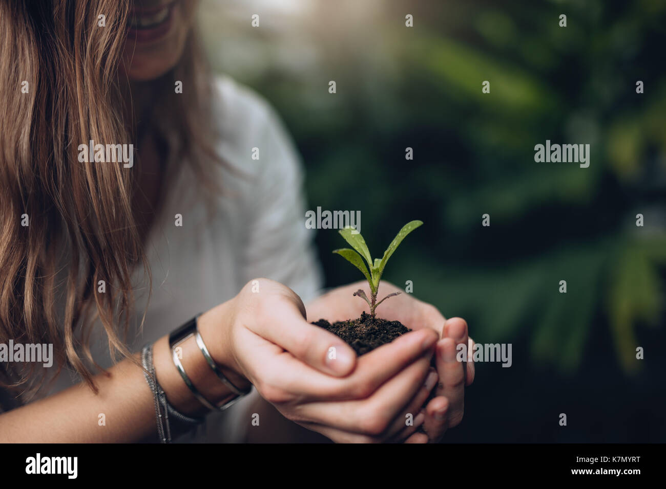 Cropped image of woman holding seedling. Small plant with soil in cupped hands of a female hand Stock Photo