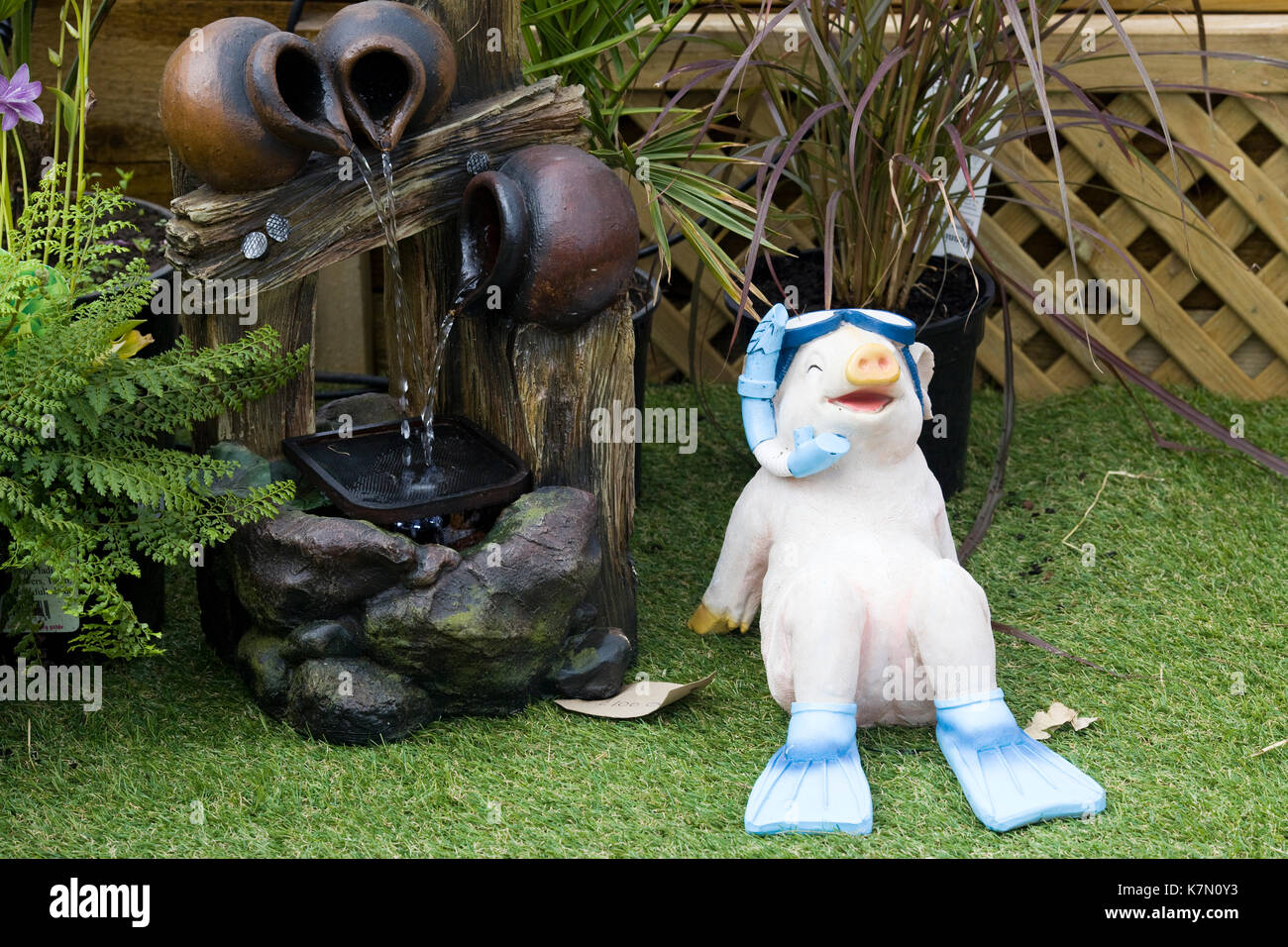 snorkling pig and water feature in the garden Stock Photo