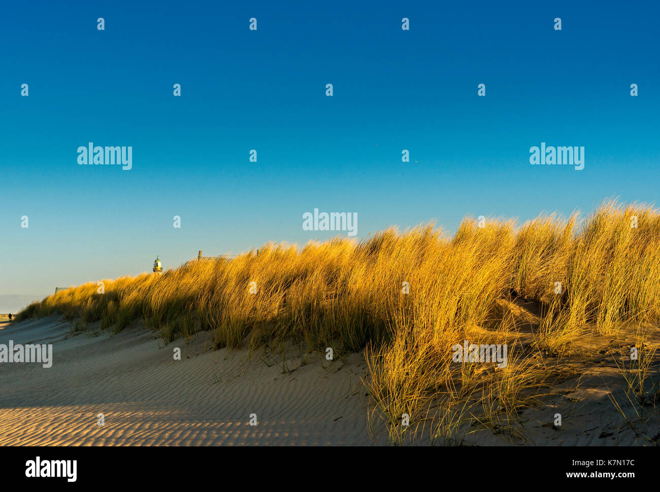 Sand dunes at the Baltic Sea, Warnemünde, Mecklenburg-Western Pomerania, Germany Stock Photo