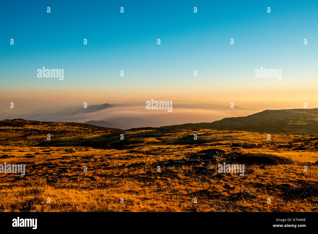 View of the golden sunset on a summer afternoon in the Serra da Estrela Stock Photo