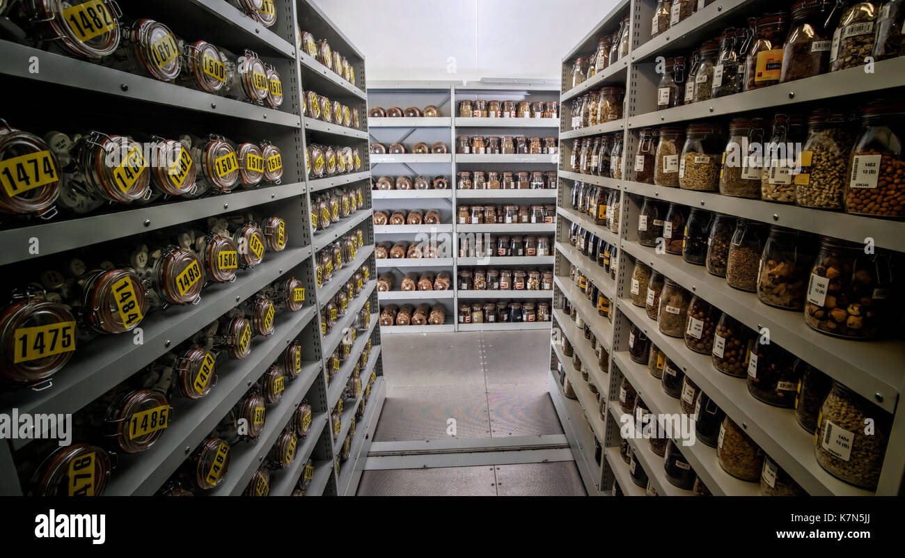 One of the storage vaults of the Millennium Seed Bank, where over a billion seeds are stored in the dark, at a releative humidity of -15% and at a sta Stock Photo