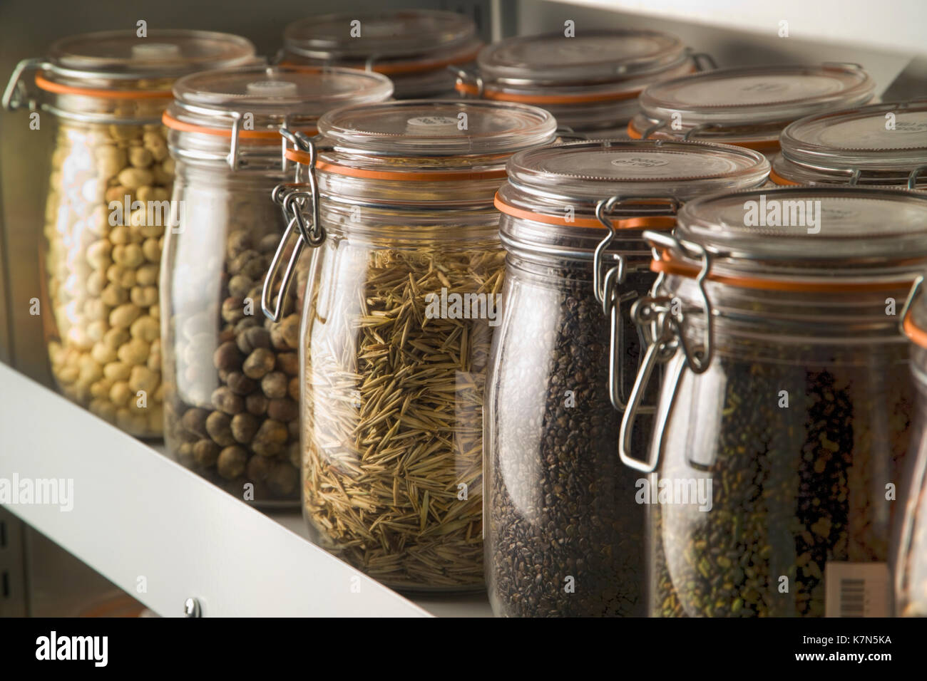 Seeds stored in the vaults of the Millennium Seed Bank, where over a
