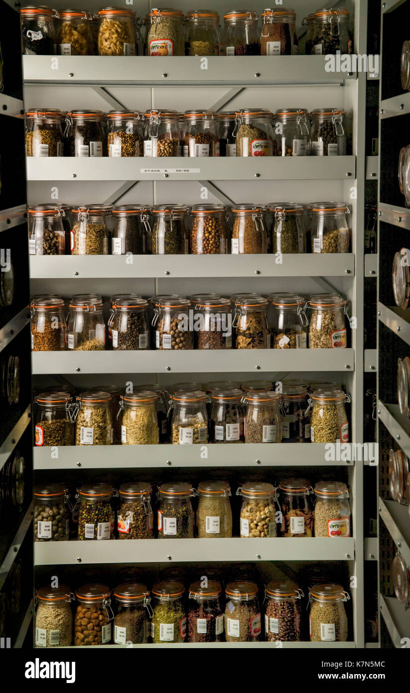 Seeds stored in the vaults of the Millennium Seed Bank, where over a billion seeds are stored in the dark, at a relative hmidity of -15% and at a stab Stock Photo