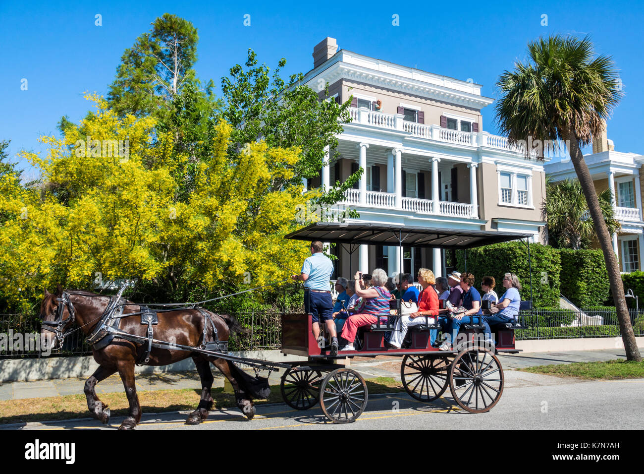 Charleston South Carolina,waterfront,The Battery,historic home,architecture,guided tour,horse