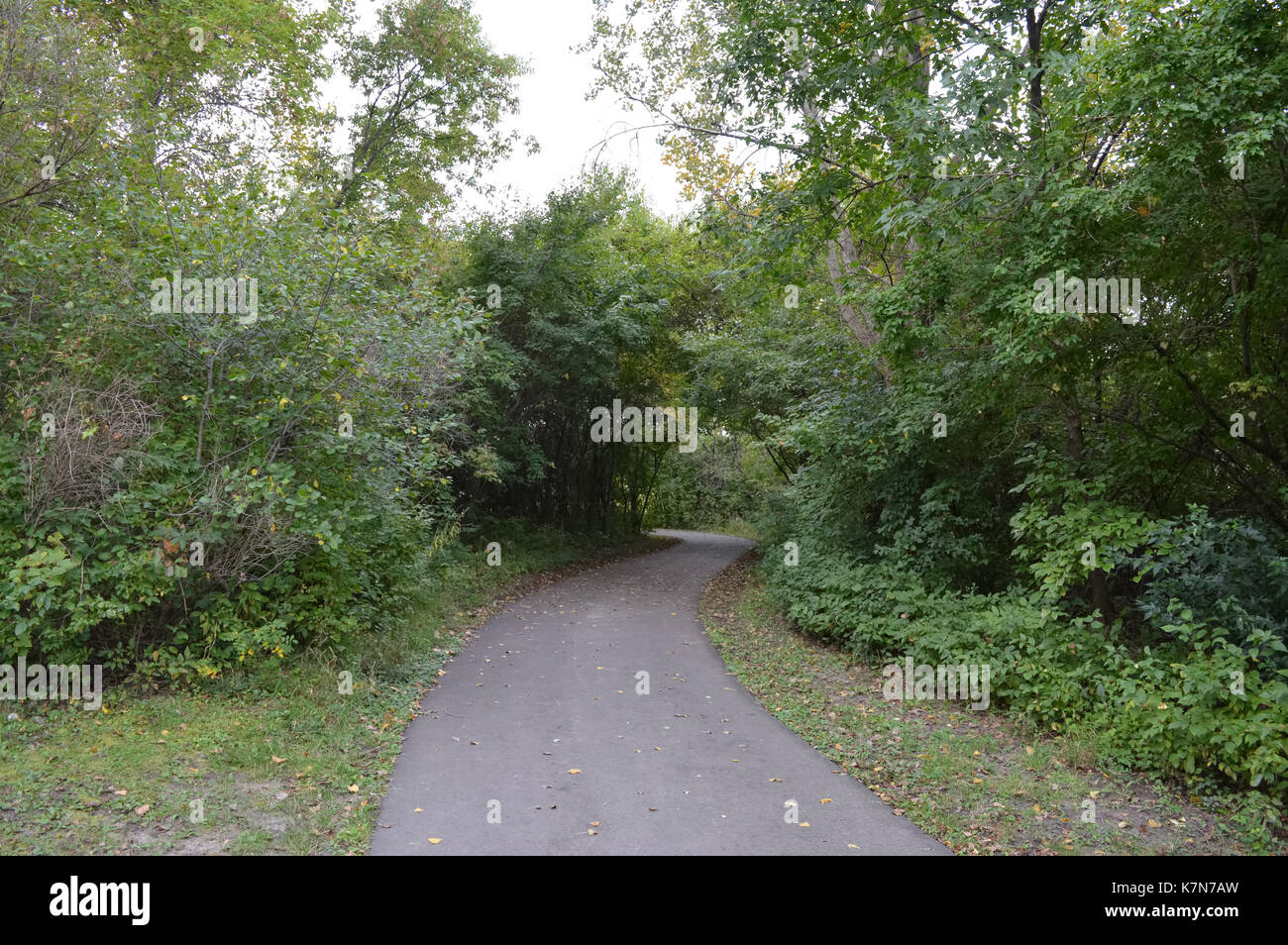 Tar path hi-res stock photography and images - Alamy