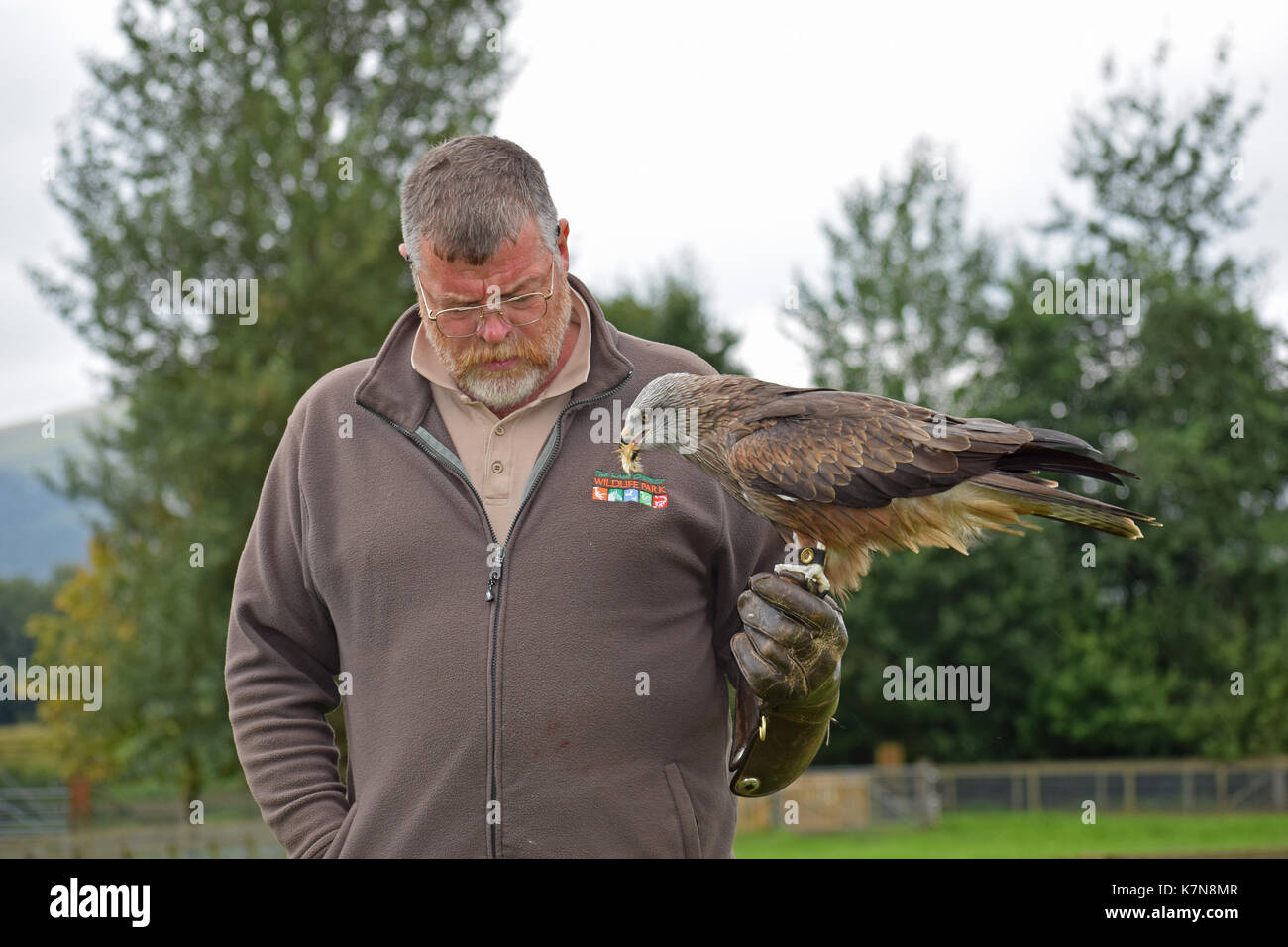 Keswick Hotel: Birds of prey