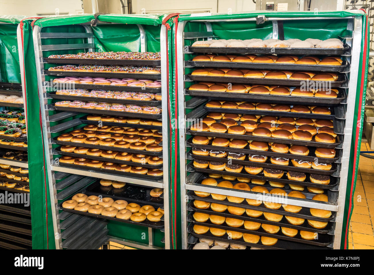 Myrtle Beach South Carolina,Krispy Kreme Doughnuts,doughnut company,coffeehouse,interior inside,racks,freshly made,SC170516085 Stock Photo