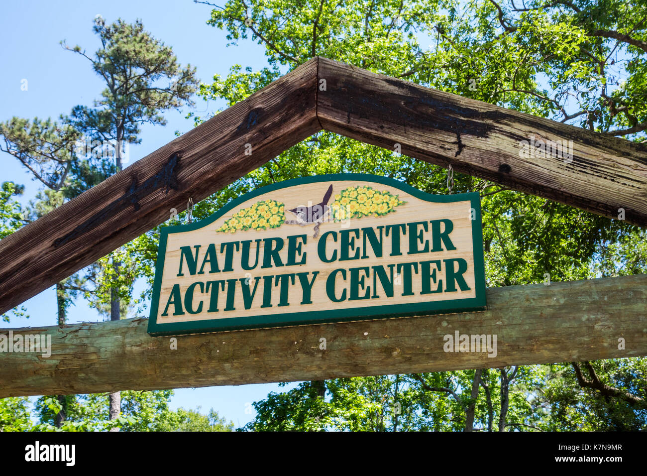 Myrtle Beach South Carolina,Myrtle Beach State Park,nature activity