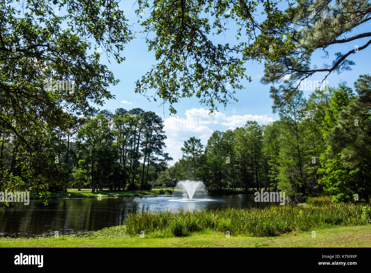 Myrtle Beach South Carolina,Brookgreen Gardens,sculpture garden