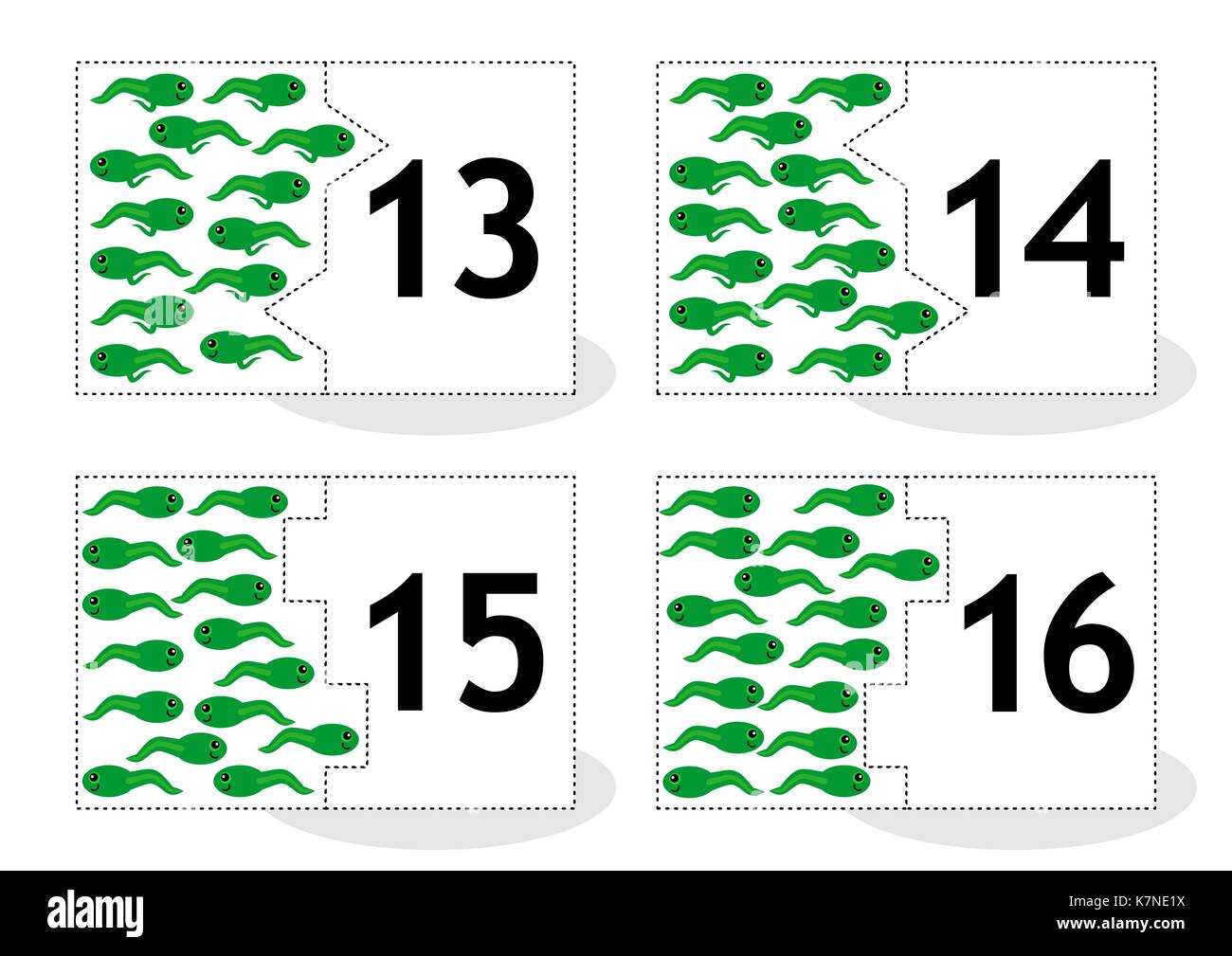 Learn counting 2-part puzzle cards to cut out and play, frog newts and tadpoles themed, numbers 13 - 16 Stock Vector