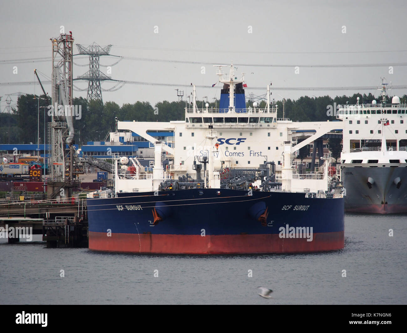 SCF Surgut (ship, 2009) IMO 9422445 Beneluxhaven pic1 Stock Photo