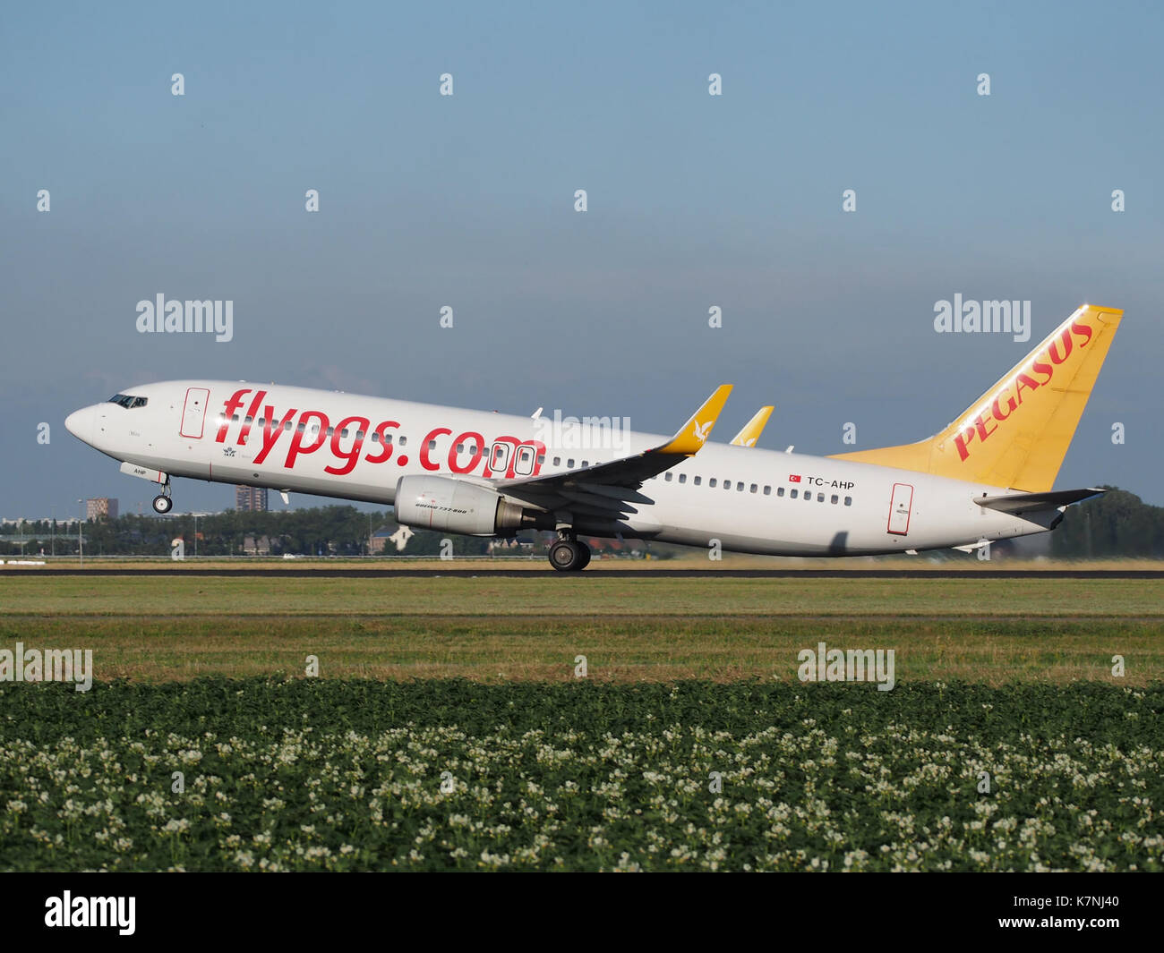 TC-AHP Pegasus Boeing 737-82R(WL) cn40721 takeoff from Schiphol (AMS - EHAM), The Netherlands pic2 Stock Photo