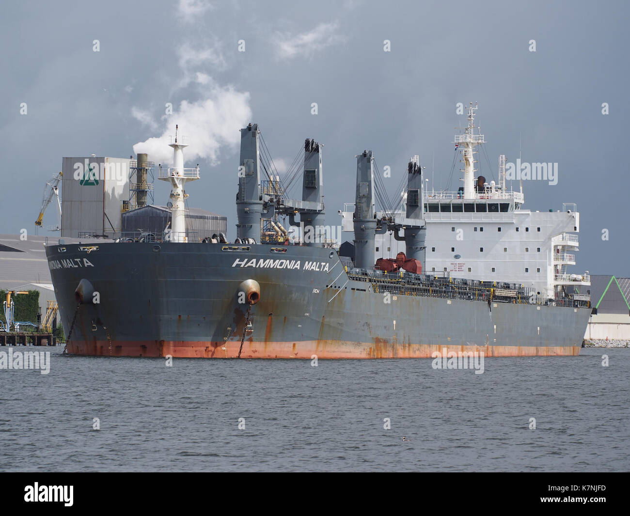 Hammonia Malta (ship, 2010) IMO 9515747 Port of Amsterdam pic3 Stock Photo