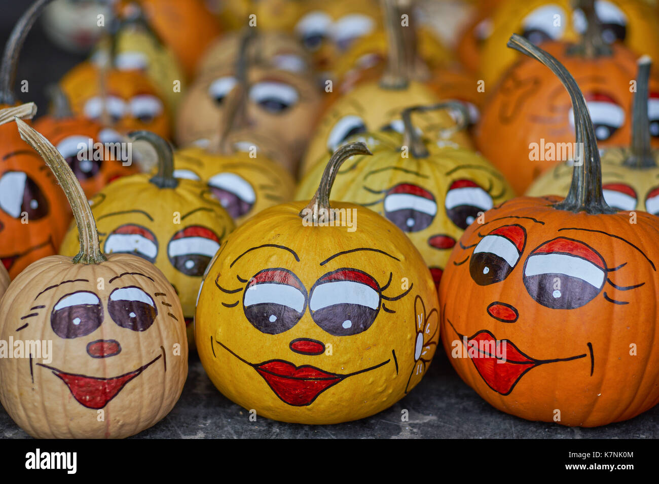 Smiling pumpkins Pumpkins with painted eyes lips nose and eyebrows many  multicolor pumpkins many multi-shaped pumpkins many colorful pumpkins Stock  Photo - Alamy