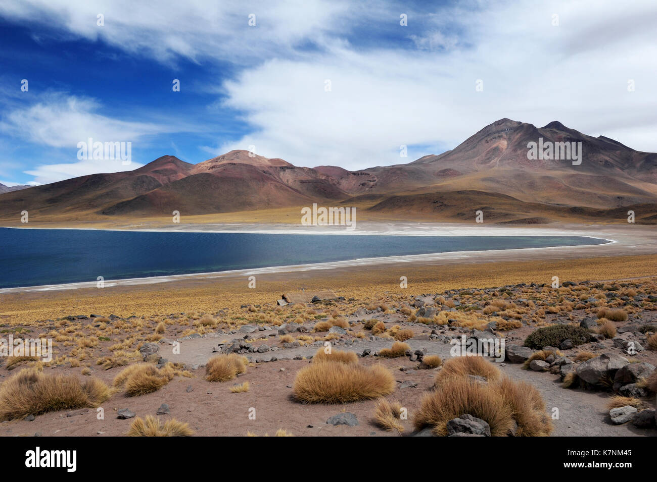 Laguna Miscanti, Atacama region, Northern Chile Stock Photo