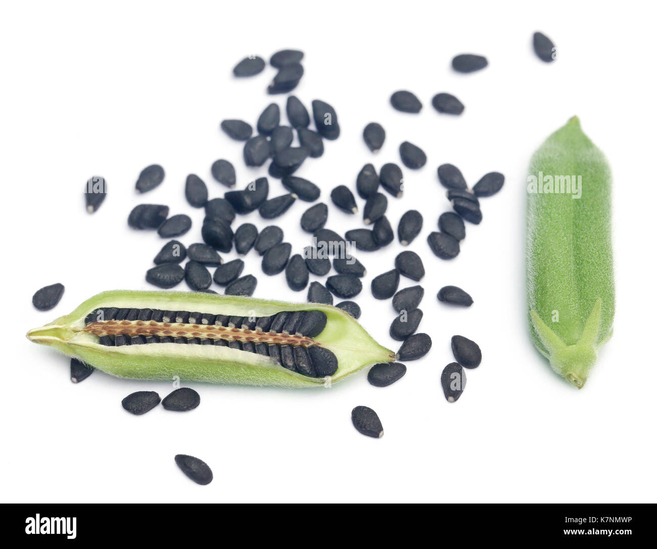 Sesame seeds with green pods over white background Stock Photo