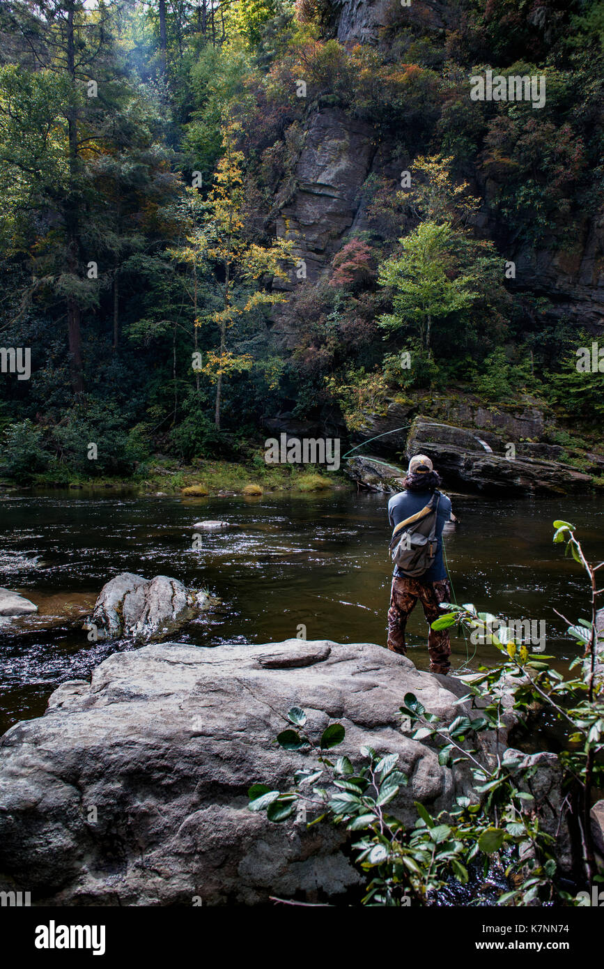 Fly Fisherman Linville River Below Falls Linville Wilderness