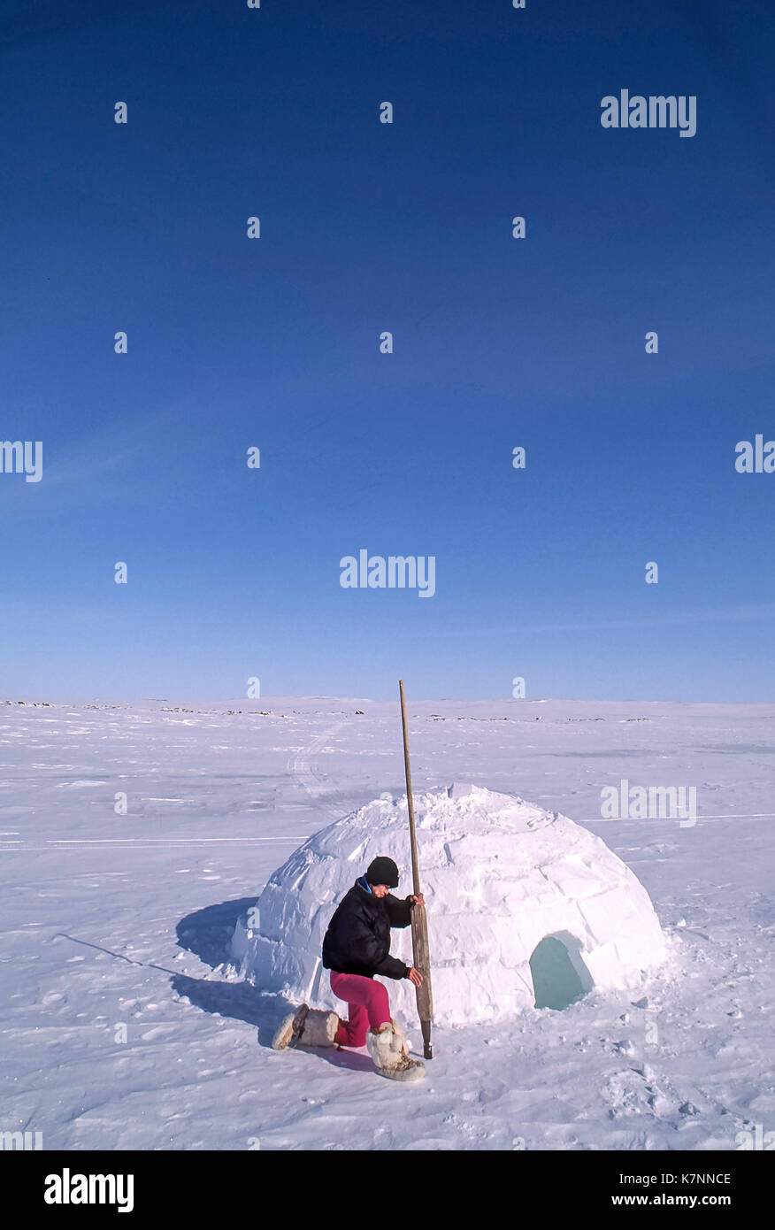 Woman inspects Inuit ice cutting tool outside igloo built with that ...