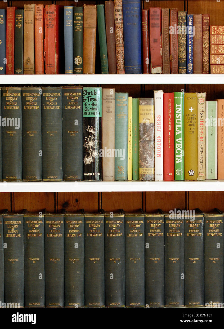 vintage or antique books stored on a shelf or book shelves in a library in a home. Stock Photo