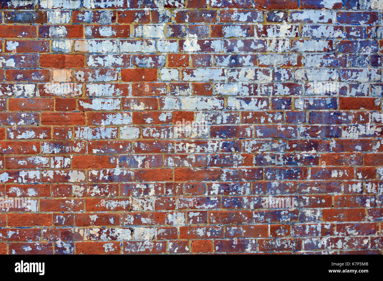 A brick wall with fading paint in purple and white showing signs of wear and re-decoration. A red brick wall either Victorian or Edwardian brickwork. Stock Photo