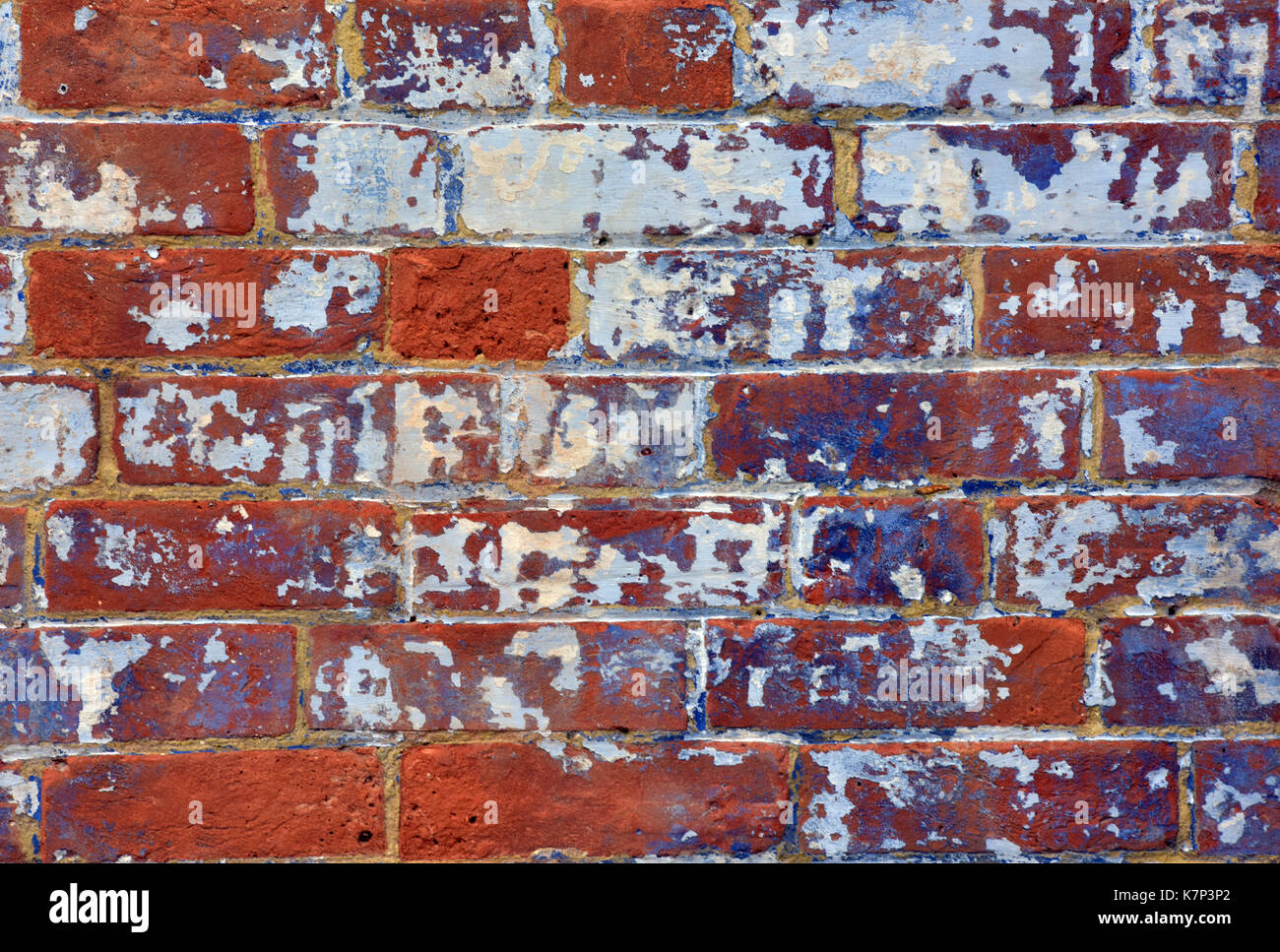 A brick wall with fading paint in purple and white showing signs of wear and re-decoration. A red brick wall either Victorian or Edwardian brickwork. Stock Photo
