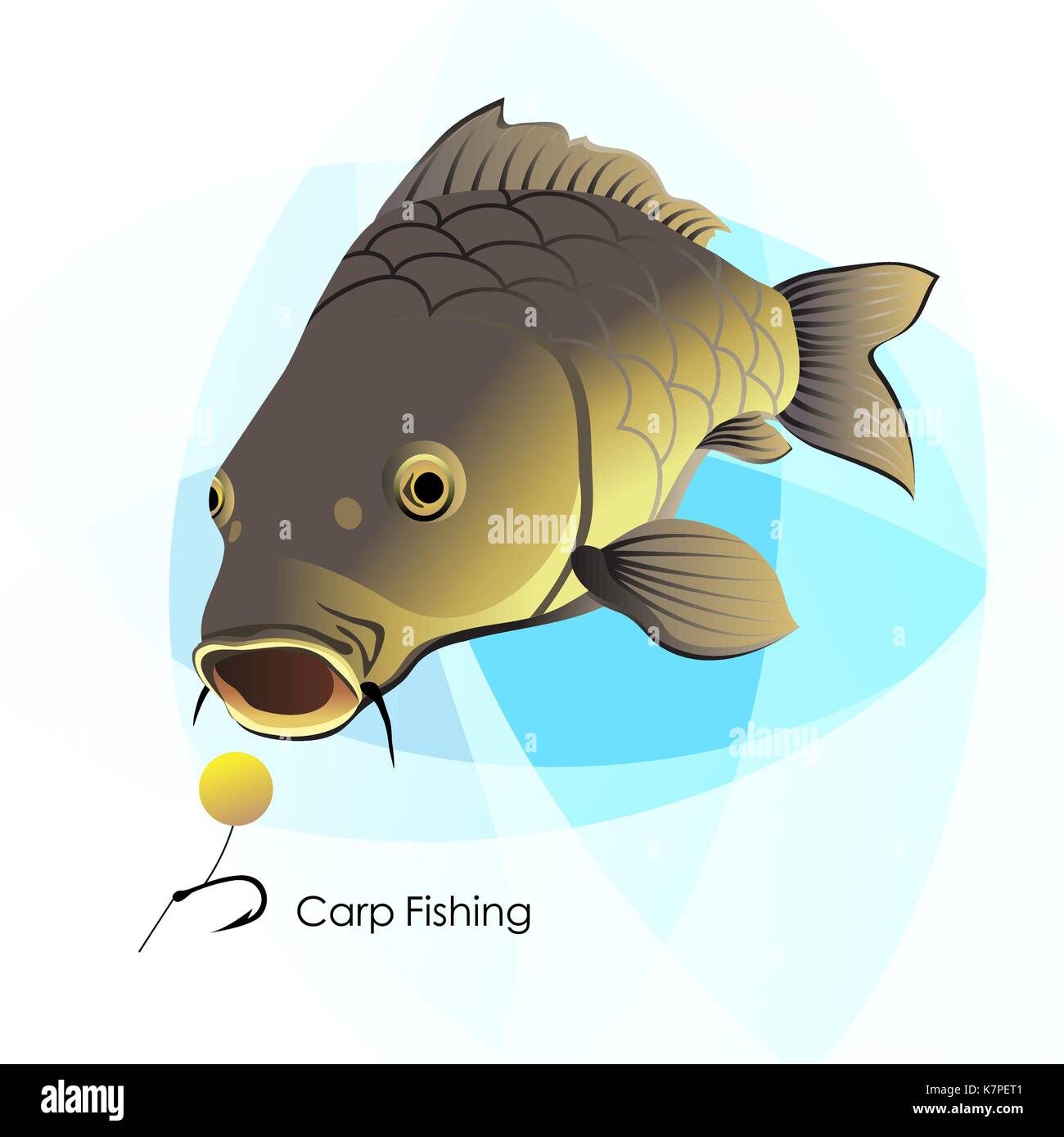 Carp Fishing, vector illustration Stock Vector