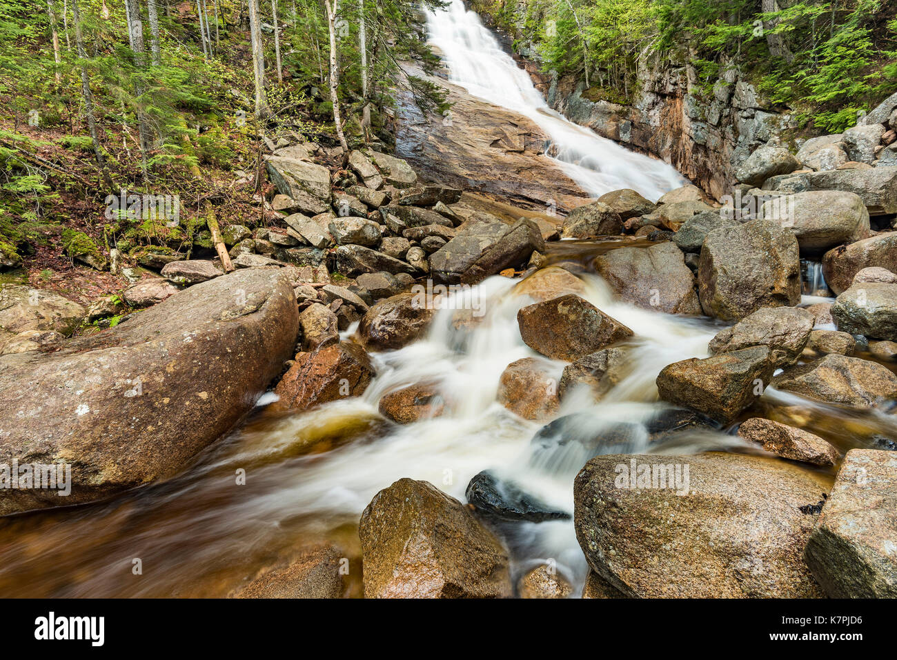 Ripley Falls and Avalanche Brook in spring, Crawford Notch State Park, Carroll Co., NH Stock Photo