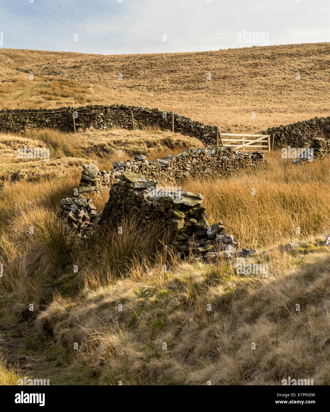 Broken stone wall winding into the distance. Stock Photo