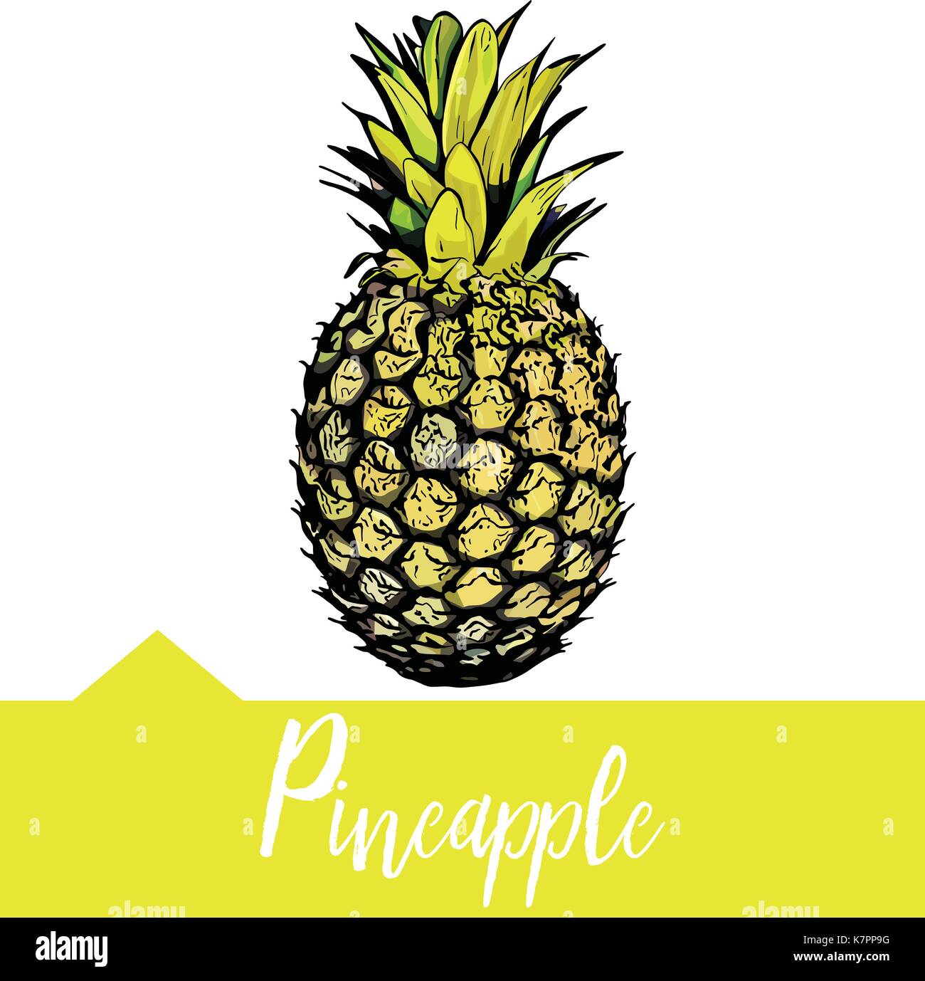 Vector Illustration Of Pineapple Stock Vector Image And Art Alamy 2163