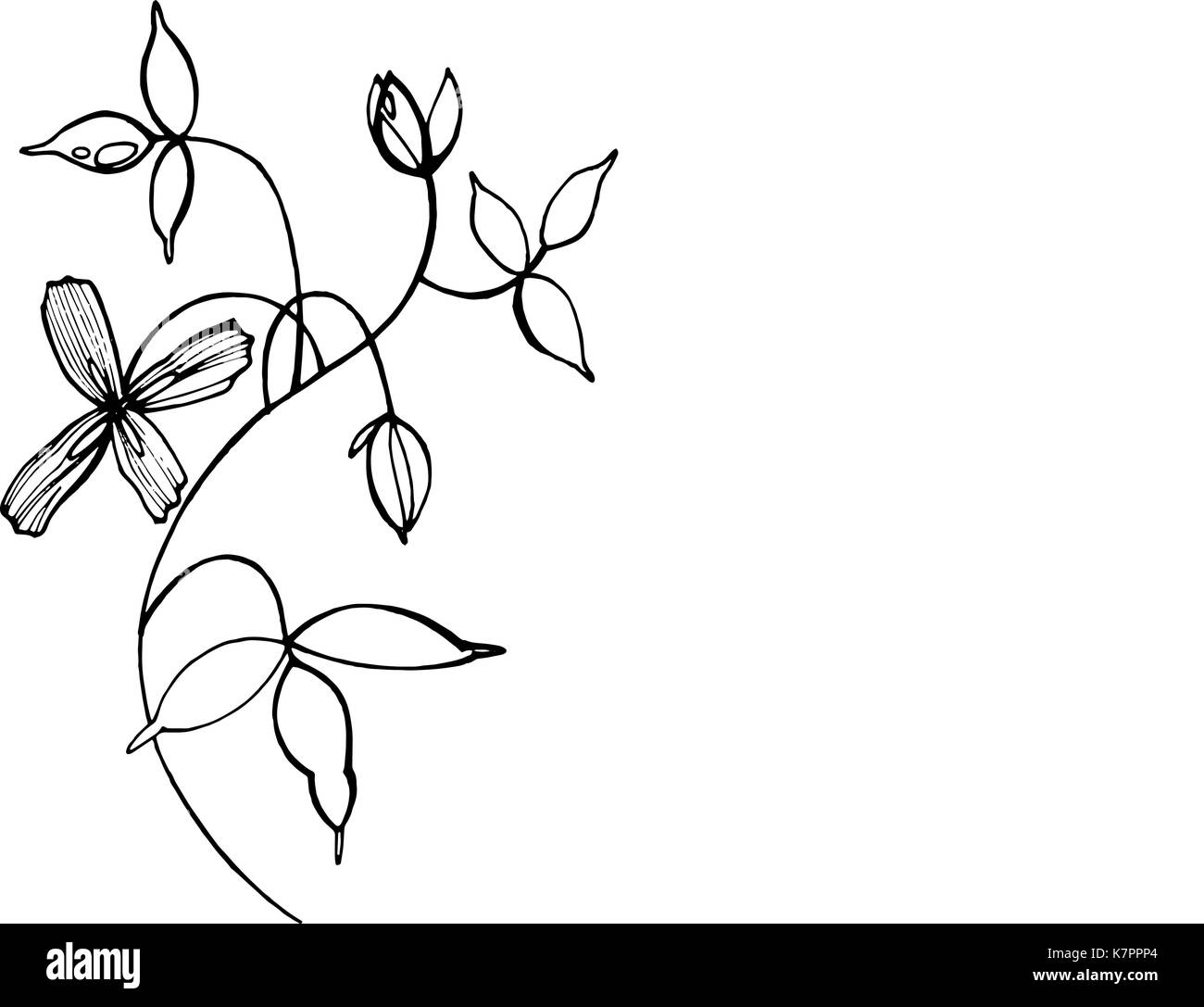 Hand drawn graphic flowers Stock Vector Image & Art - Alamy