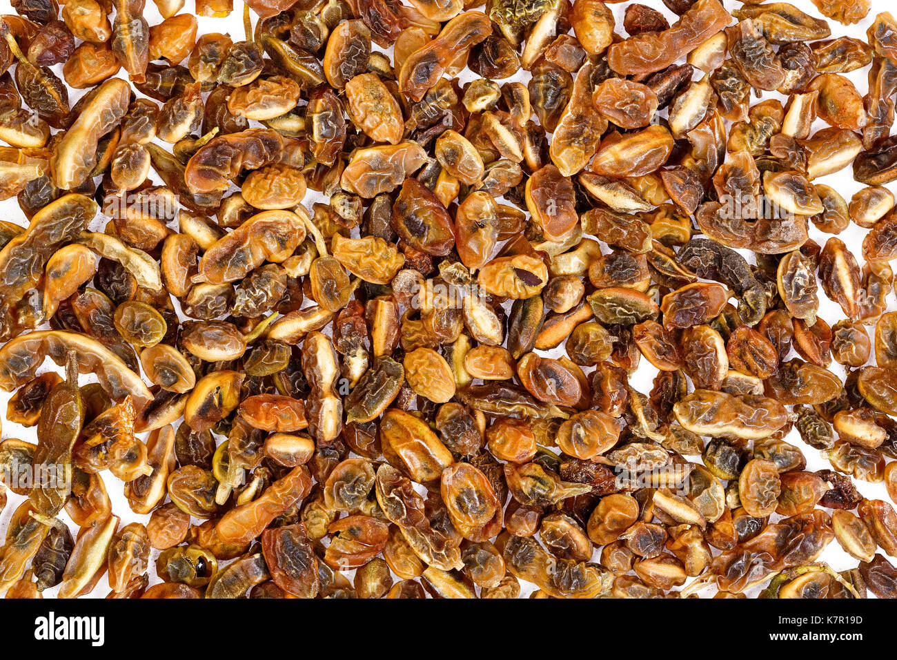 Dried sophora japonica beans. Abstract background. High resolution photo. Stock Photo