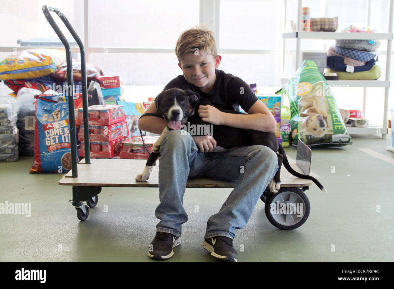 Houston, USA. 9th Sep, 2017. A boy embraces his dog in the Hurricane Harvey Animal Rescue Shelter in La Marque, Texas, the United States, Sept. 9, 2017. Three shelters in the coastal Galveston area of Texas have combined efforts to open the Hurricane Harvey Animal Rescue Shelter at a former greyhound racing track in La Marque, about 65 km south of Houston. Hurricane Harvey caused many pets to be lost, left homeless, abandoned by families, or temporarily left for emergency housing with the three shelters. Credit: Robert Stanton/Xinhua/Alamy Live News Stock Photo