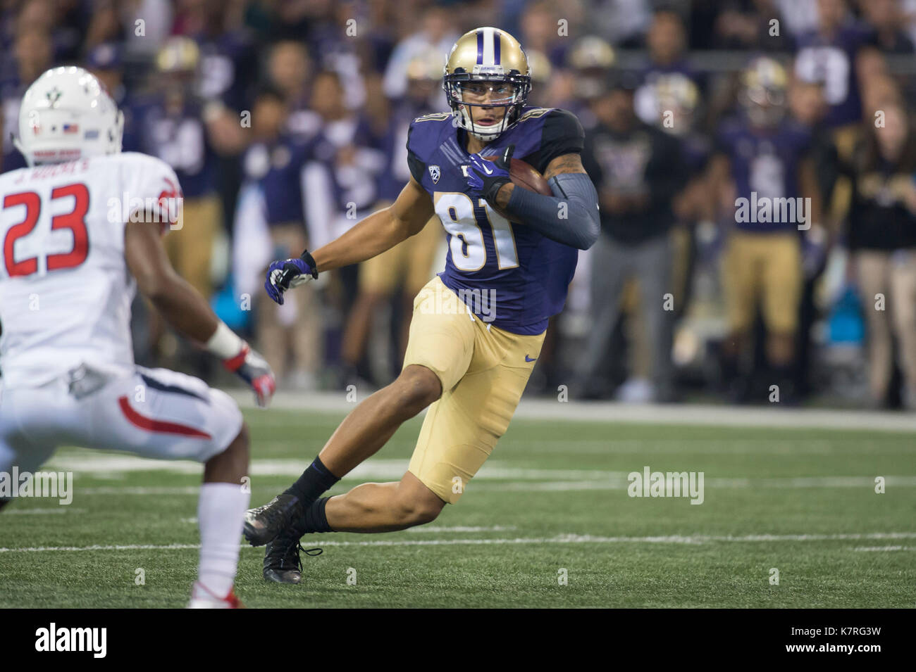 Seattle, WA, USA. 16th Sep, 2017. UW receiver Brayden Lenius (81) in action during a NCAA football game between the Fresno State Bulldogs and the Washington Huskies. The game was played at Husky Stadium in Seattle, WA. Jeff Halstead/CSM/Alamy Live News Stock Photo