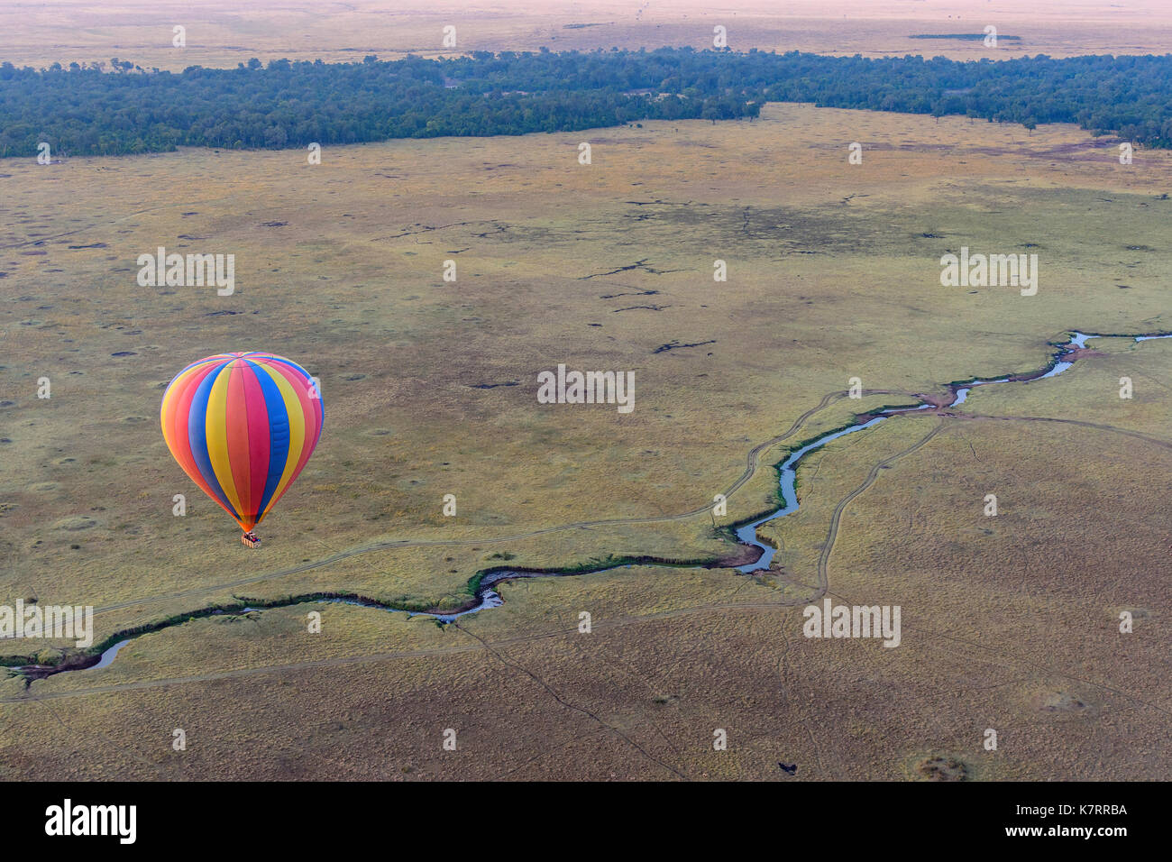 Hot air ballon over the Masai Mara preserve in Kenya during the great migration Stock Photo