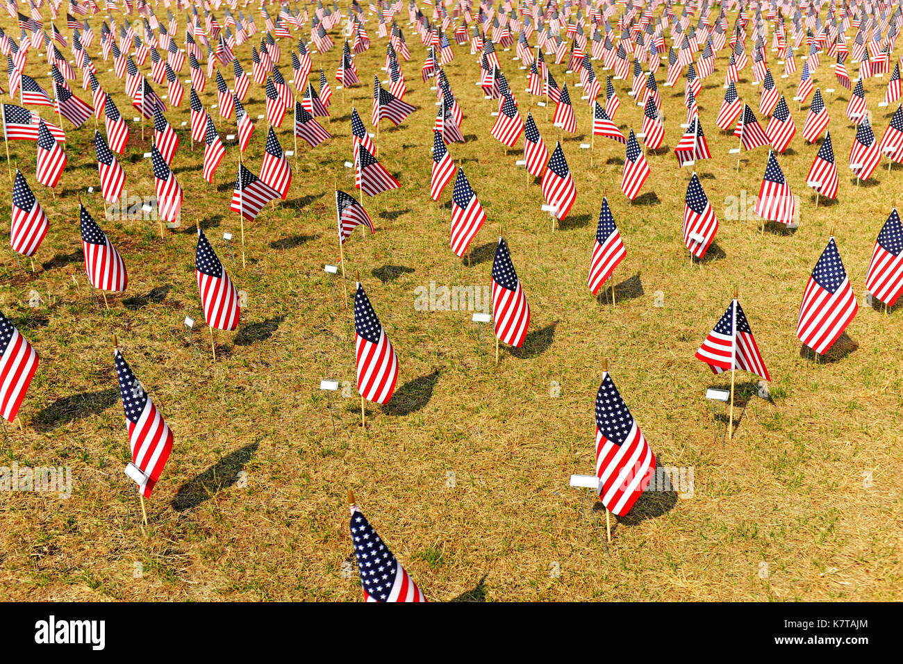 Dozens of USA flags are planted in rows outside the Cleveland FirstEnergy Football Stadium on opening day 2017. Stock Photo