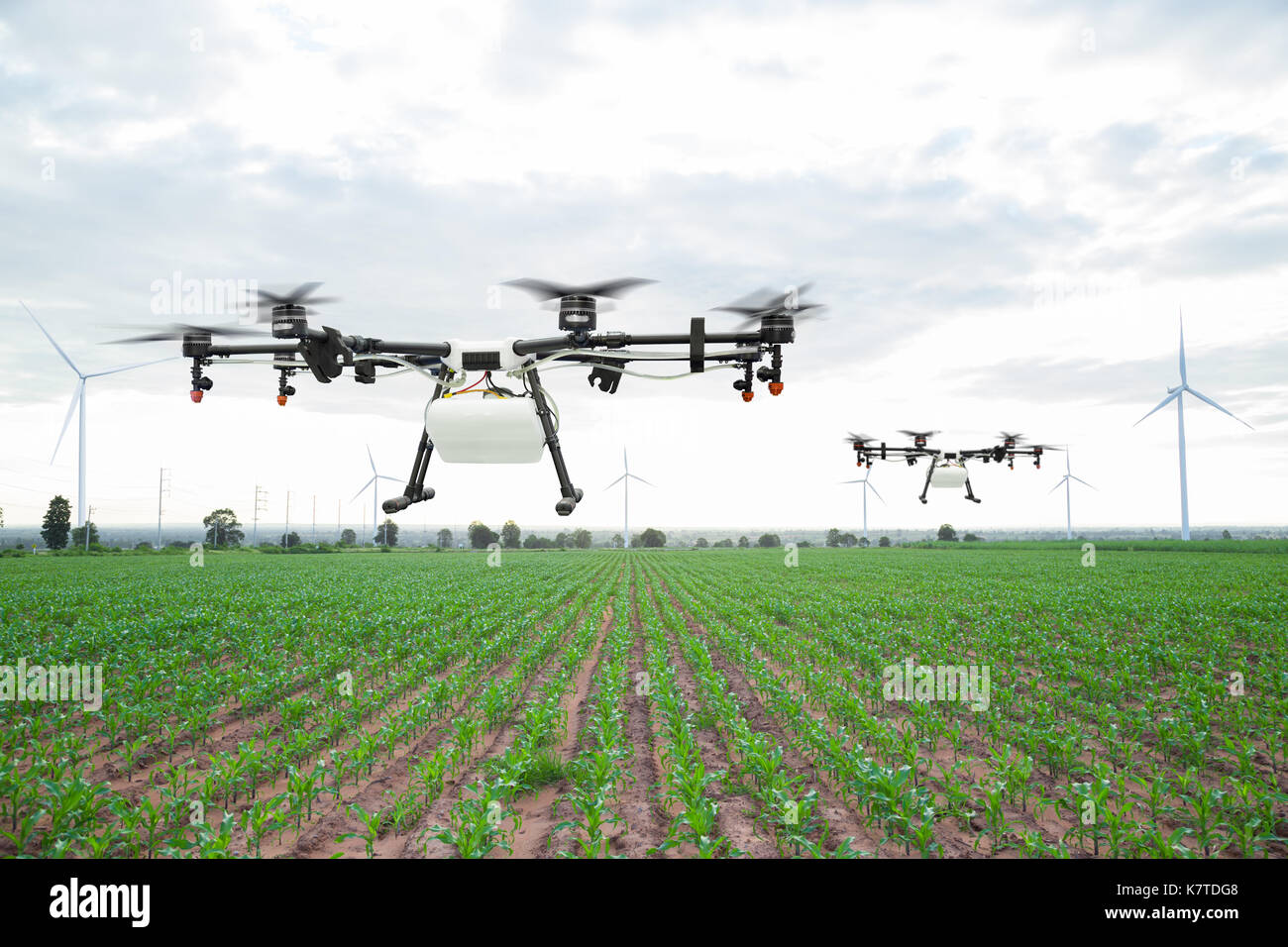 Agriculture drone flying on the green corn field Stock Photo - Alamy