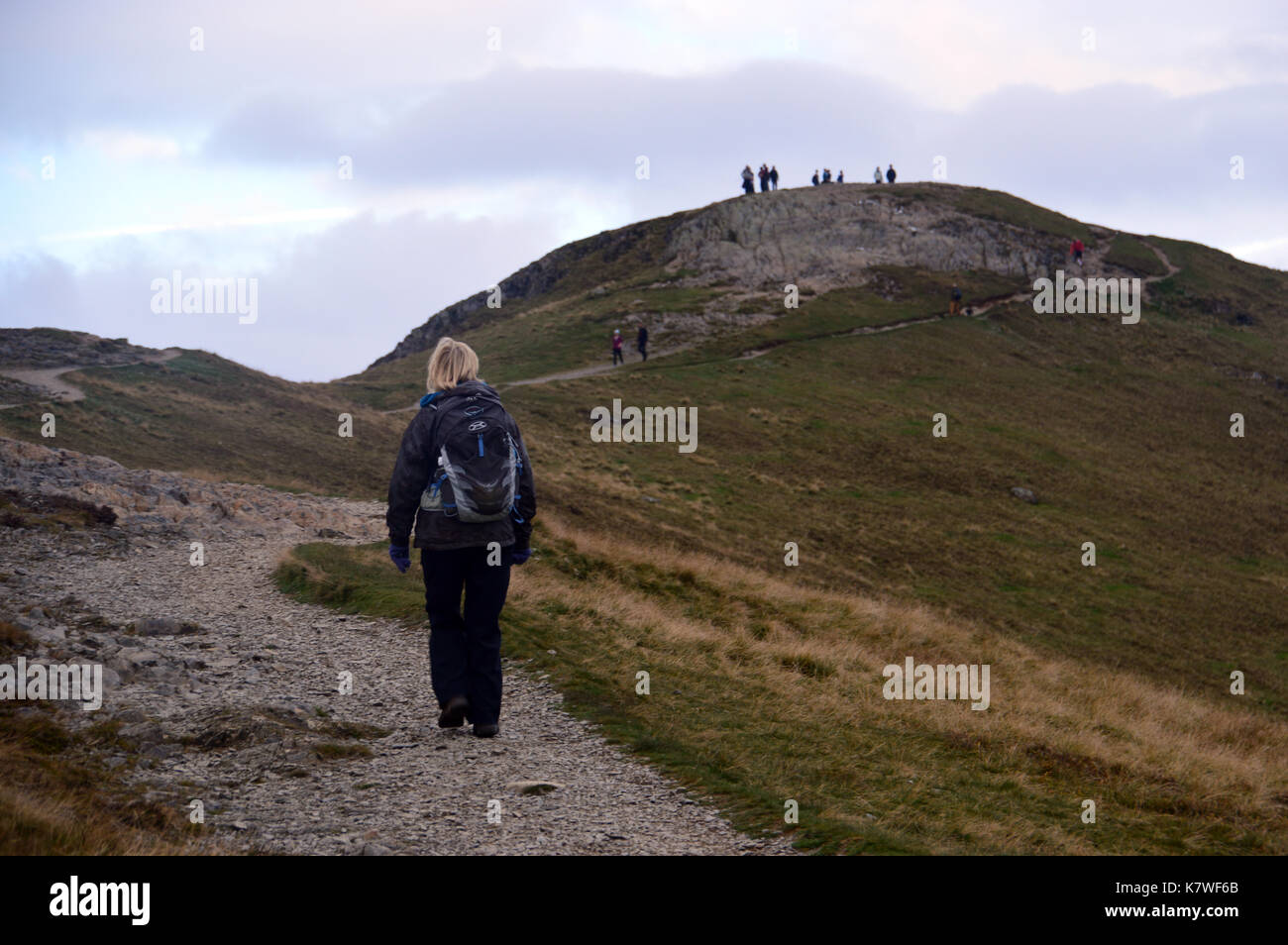 Lone Lady Fellwalker on Route to the Summit of the Wainwright Hill Catbells in the Lake District National Park, Cumbria, UK. Stock Photo