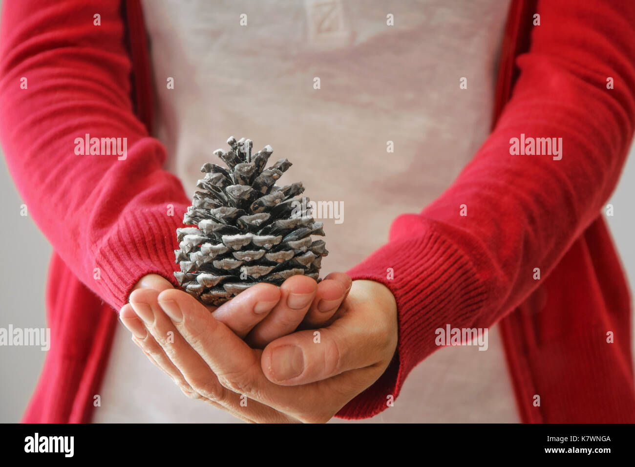 Woman holds pine cone Stock Photo