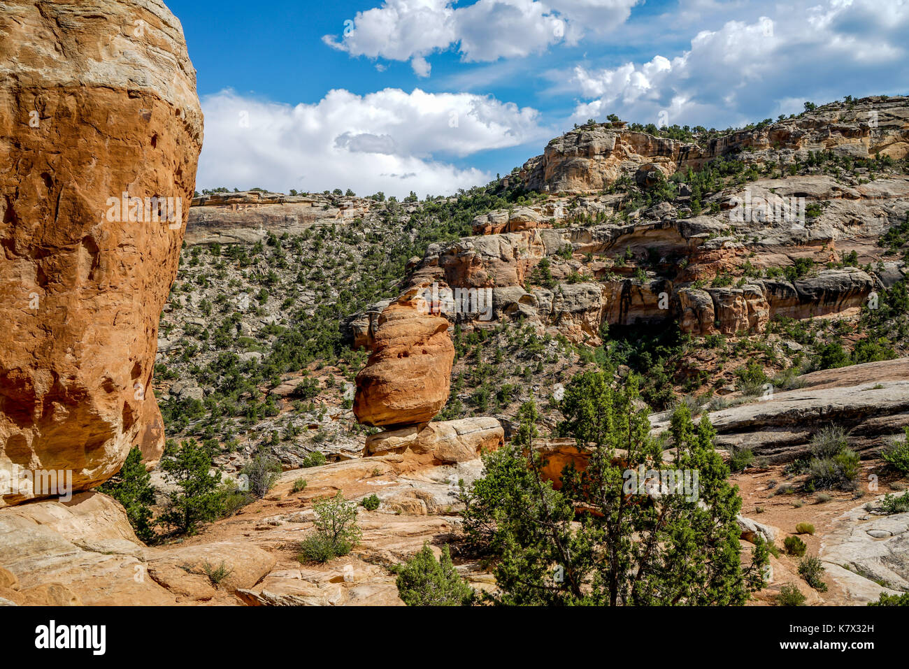 A beautiful day for a hike through Monument National Park in southwest Colorado. Stock Photo
