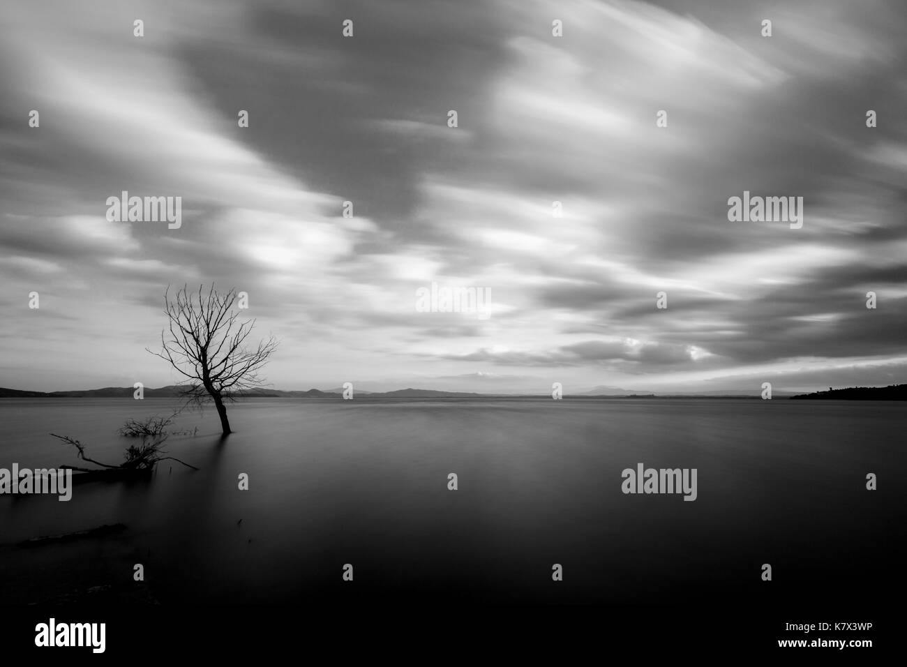 Long exposure of a tree on a lake, with perfectly still water and spectacular sky with moving clouds Stock Photo