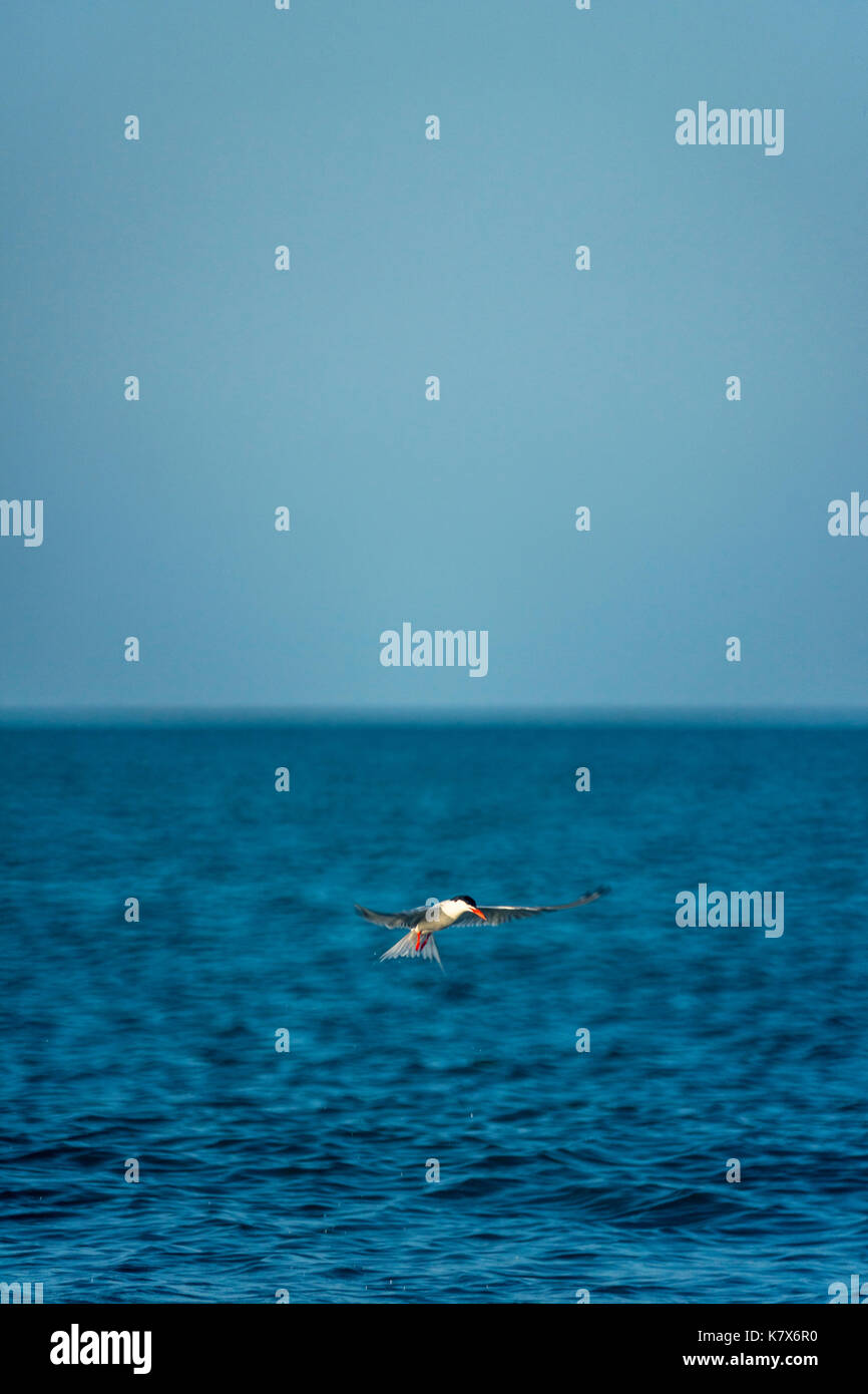 Download Platja escena imatges Desktop Wallpaper Free